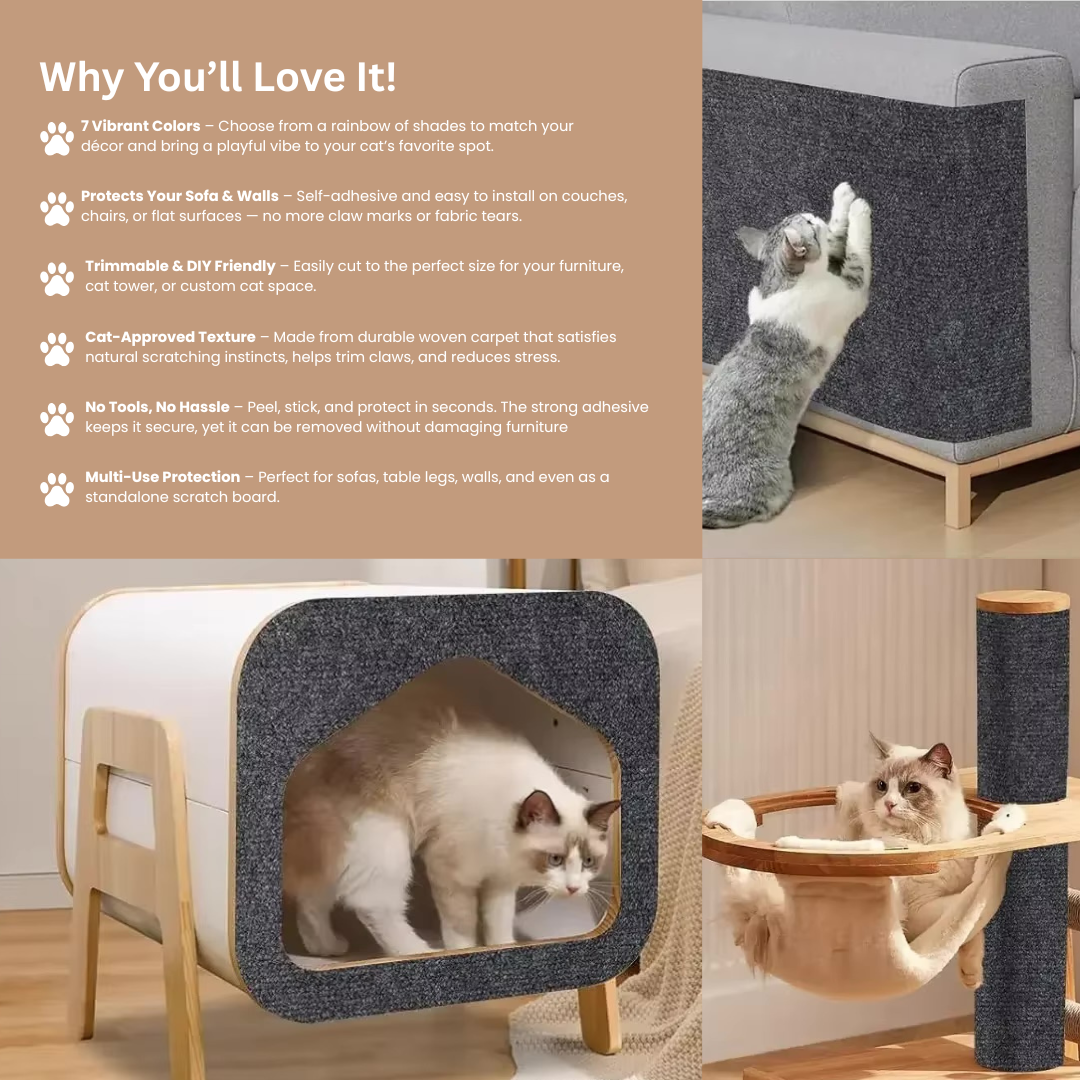 Pawsitive Protection Scratch Mat