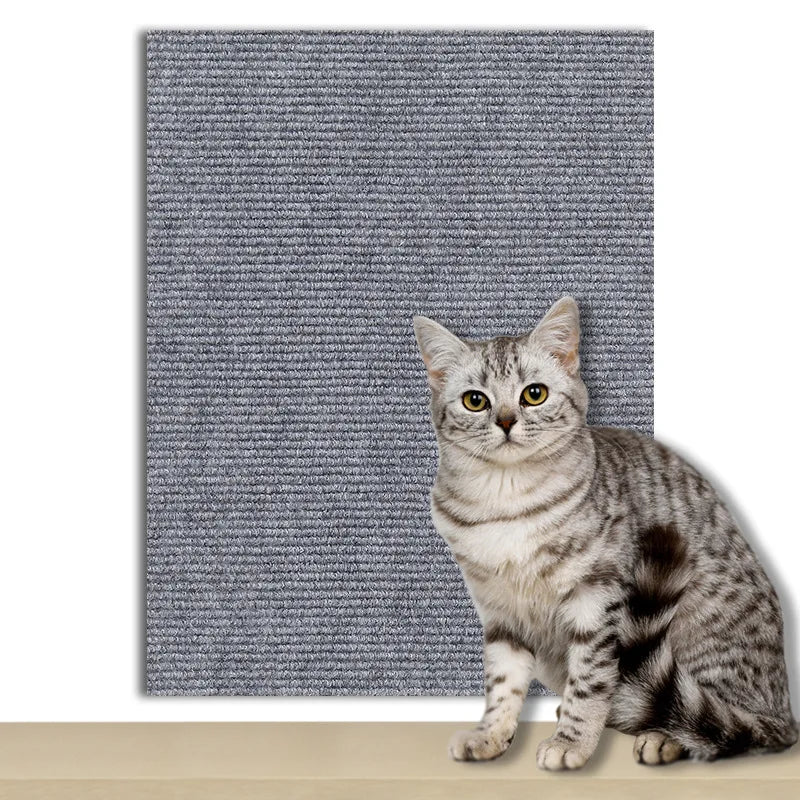 Pawsitive Protection Scratch Mat