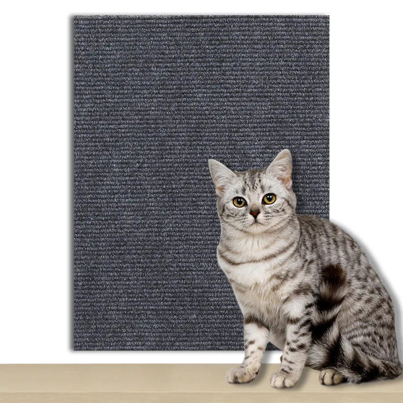 Pawsitive Protection Scratch Mat