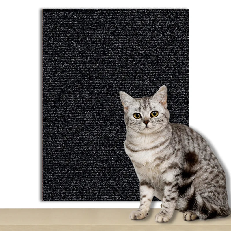 Pawsitive Protection Scratch Mat